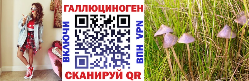 нарко площадка состав  Никольское  Галлюциногенные грибы GOLDEN TEACHER  где найти наркотики 